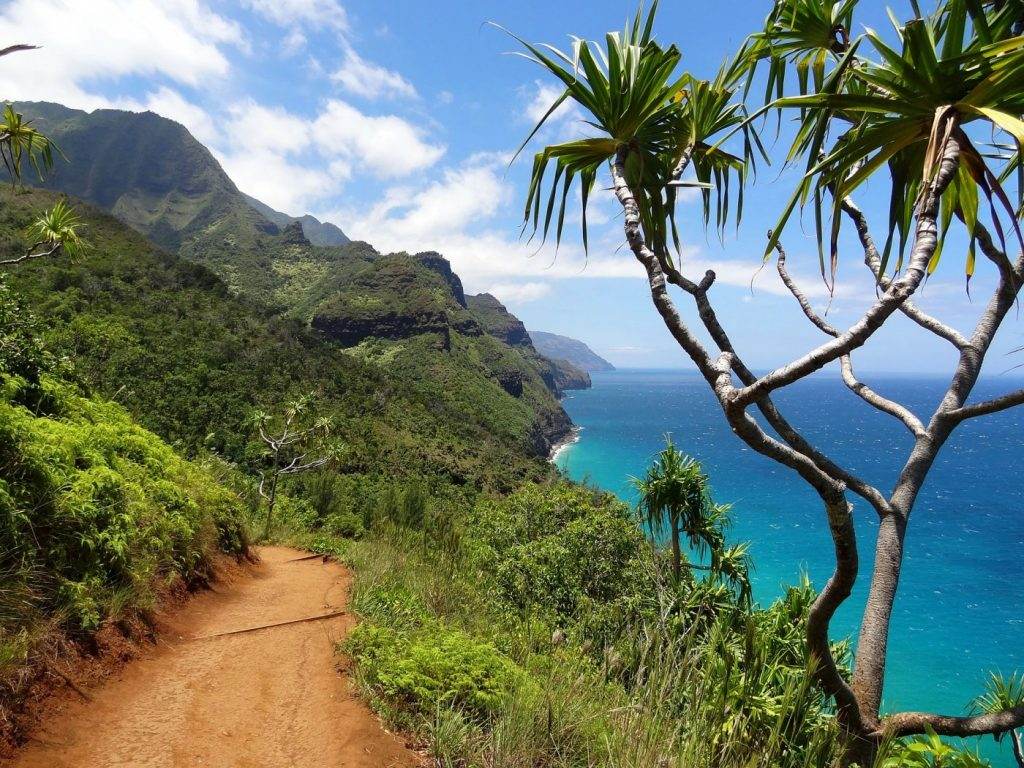 viajes lujo hawai4